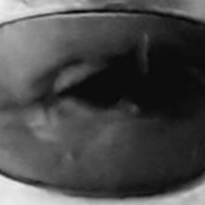 Meet your Posher, Phillip